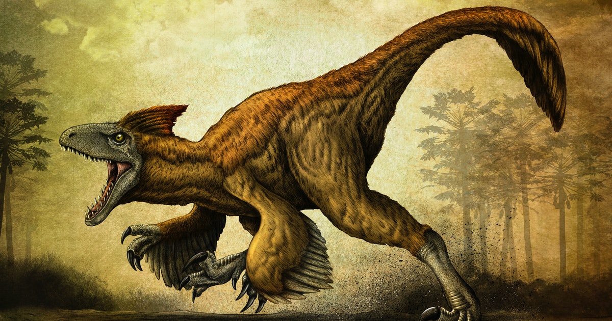 How did the dinosaurs die? The answer is not what you think