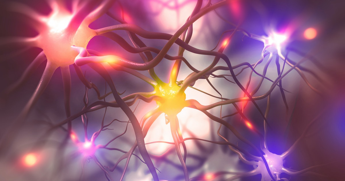 Neuroscientists uncover a sensory “gateway” in the brain