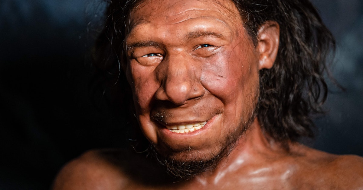 Fossils reveal humans and Neanderthals coexisted far longer than we thought