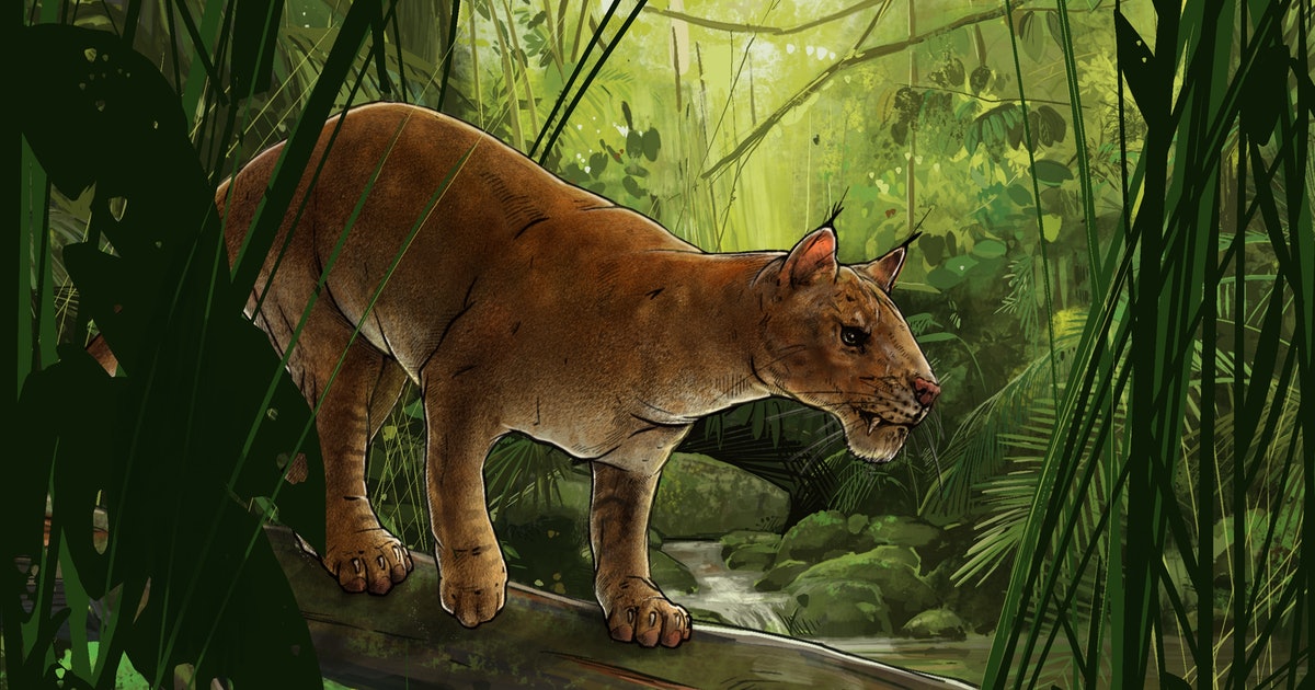 Look: Ancient cat-like creature was one of the first hypercarnivores on Earth