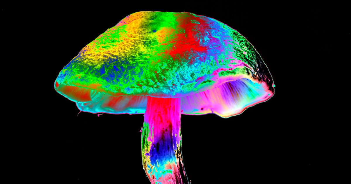 New brain scans may reveal why psilocybin is such a potent antidepressant