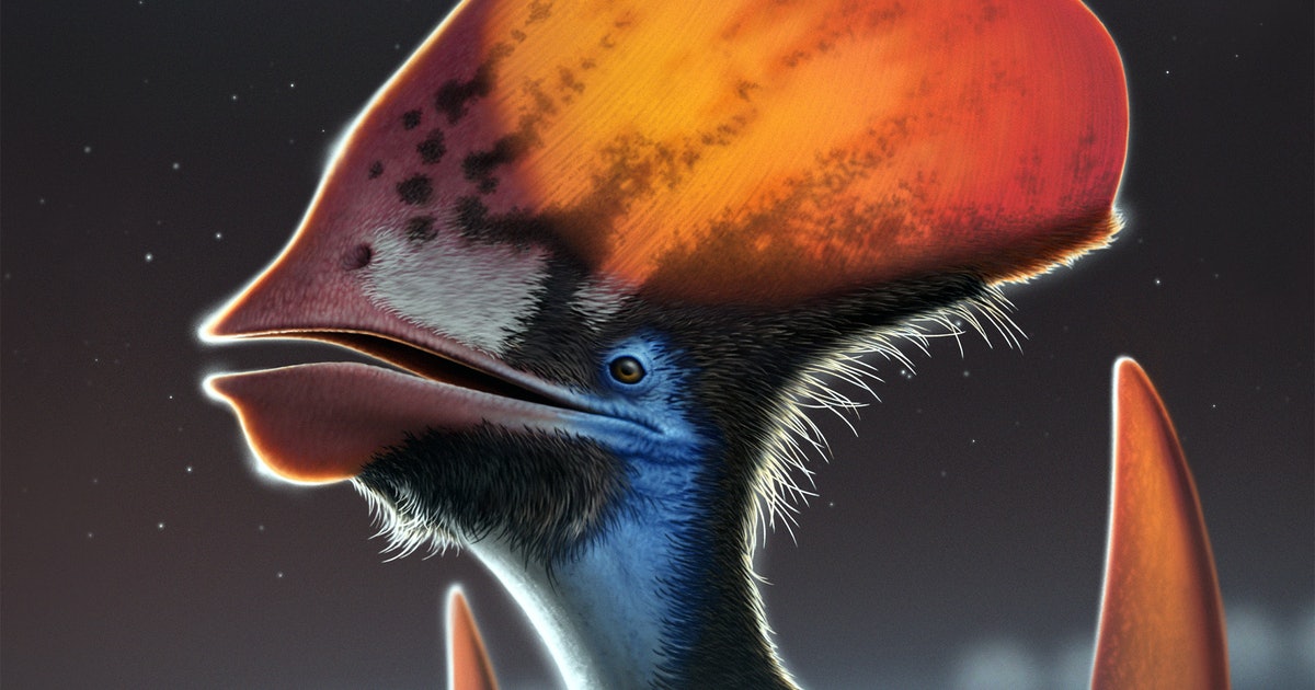This ancient creature developed feathers long before the dinosaurs