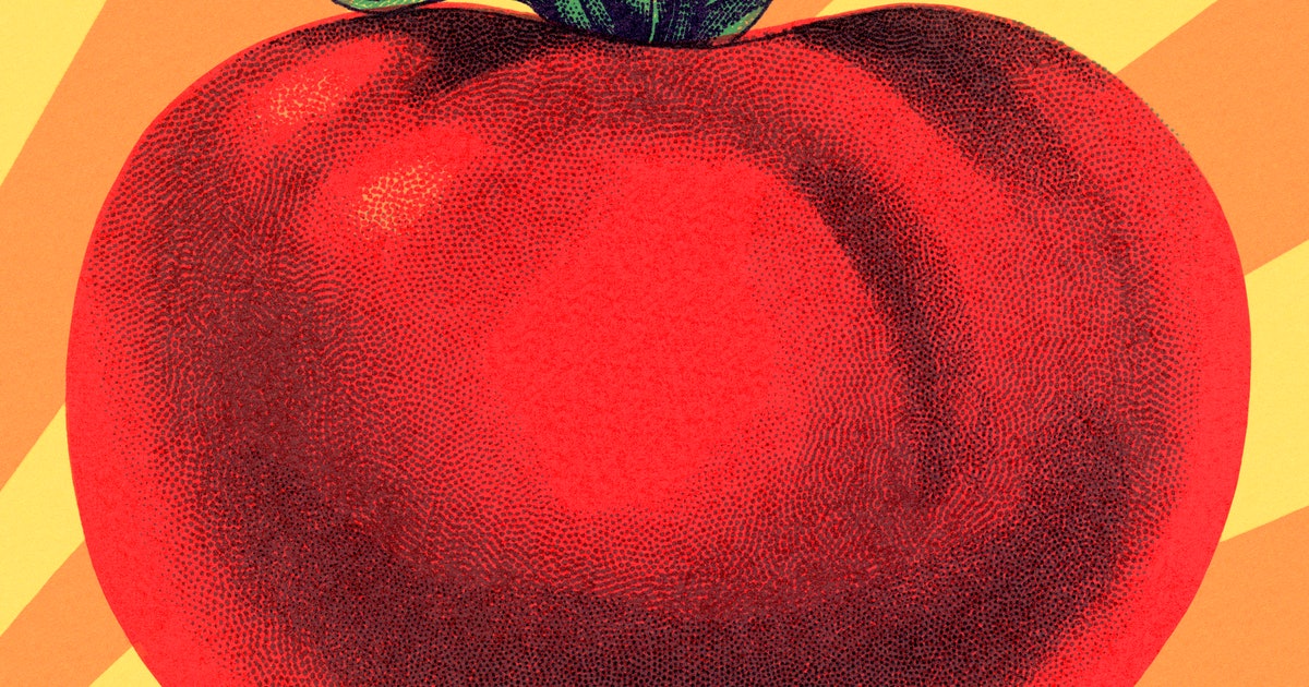 How a genetically-engineered tomato could help solve a global health crisis