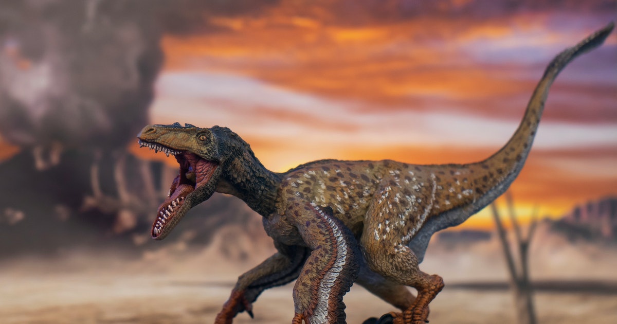 Protofeathers may have helped dinosaurs survive — and dominate