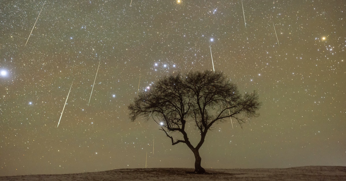 You need to see the summer’s best meteor shower ASAP