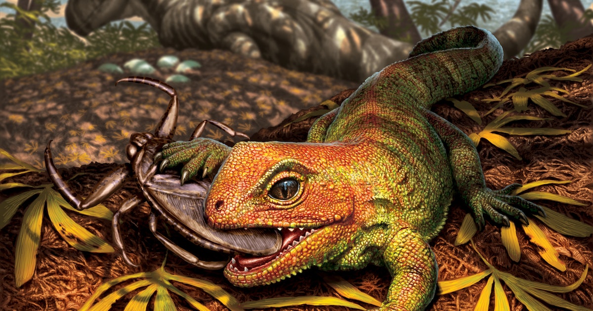 This reptile lived among the dinosaurs and could solve an evolutionary mystery