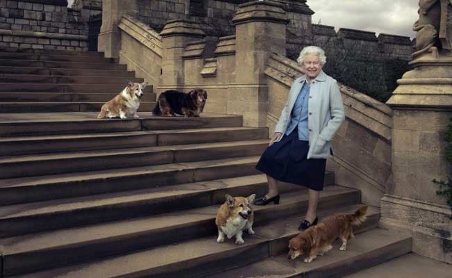 Prince Andrew, Ex-Wife To Look After Queen Elizabeth’s Corgi Dogs