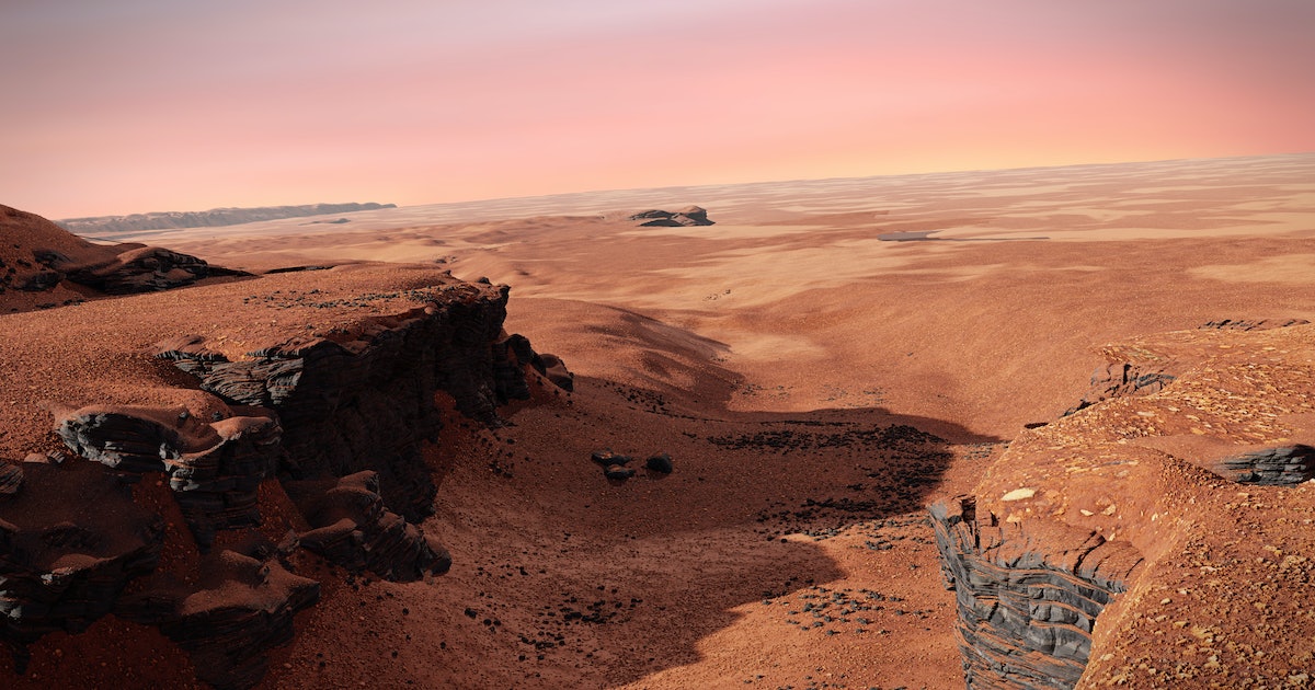One resilient Earth species could be the key to understanding life on Mars