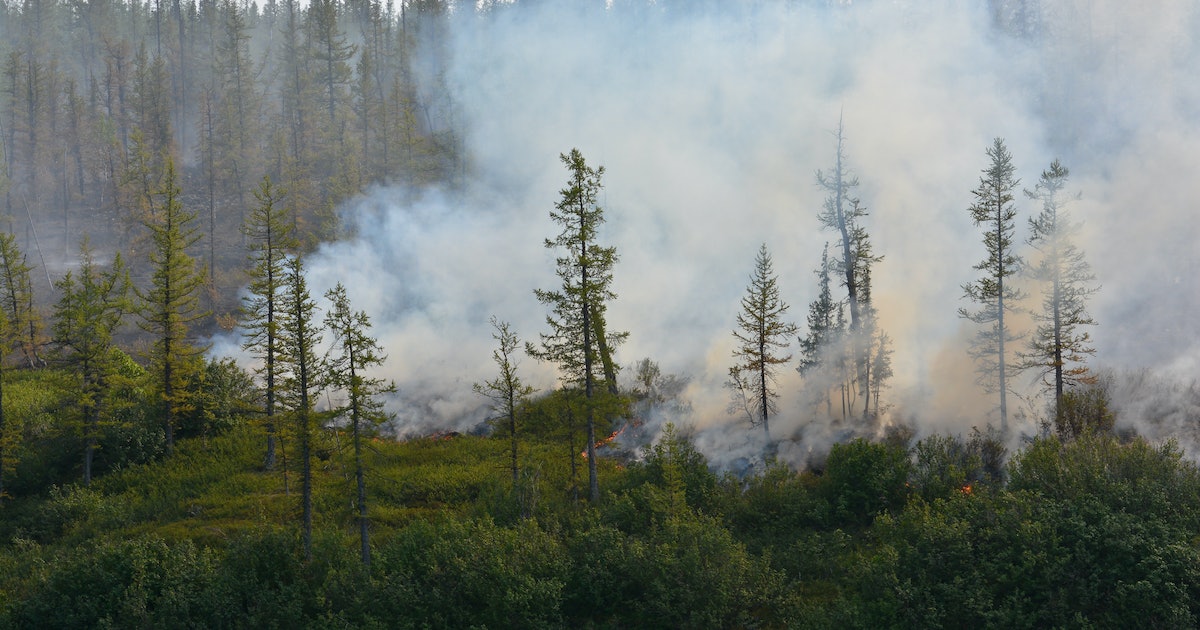 Wildfire smoke may warm the Earth for longer than we thought