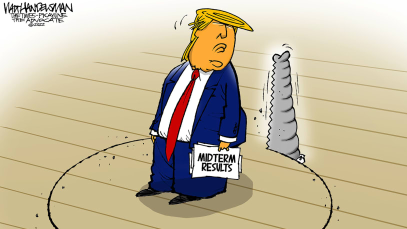 9 brutally funny cartoons about Trump's midterms disaster