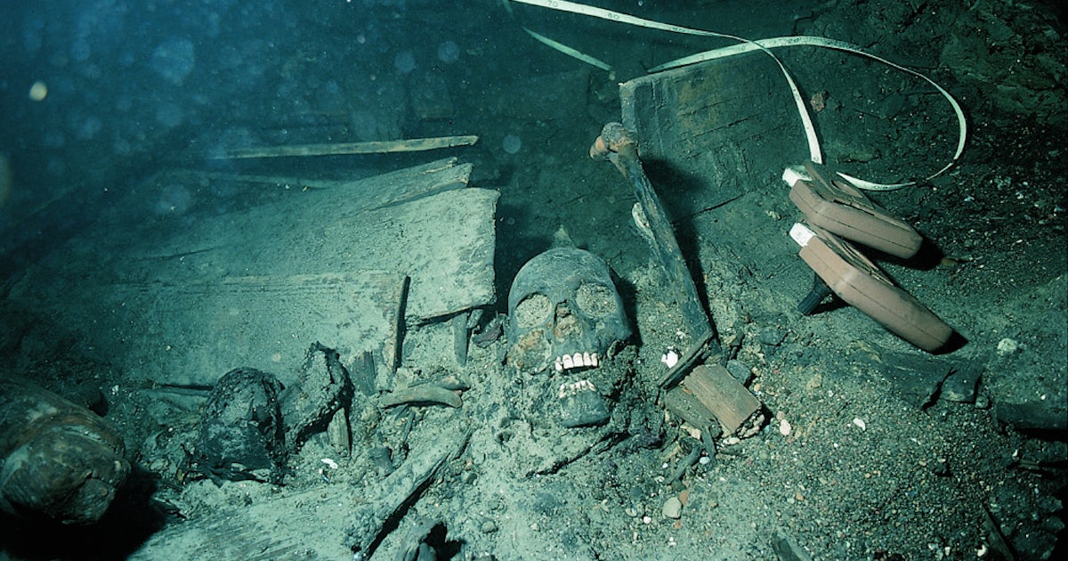 Ancient DNA analysis debunks a toxic myth about Vikings