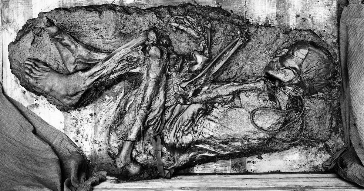 Bog bodies reveal a gruesome trend through history