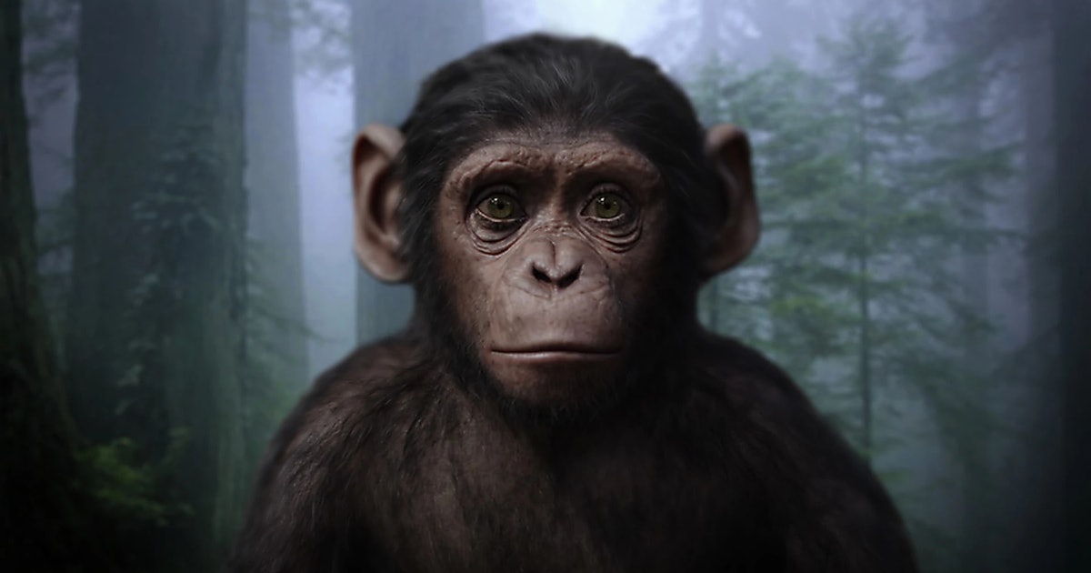 ‘Kingdom of the Planet of the Apes’ could be the reboot the franchise needs