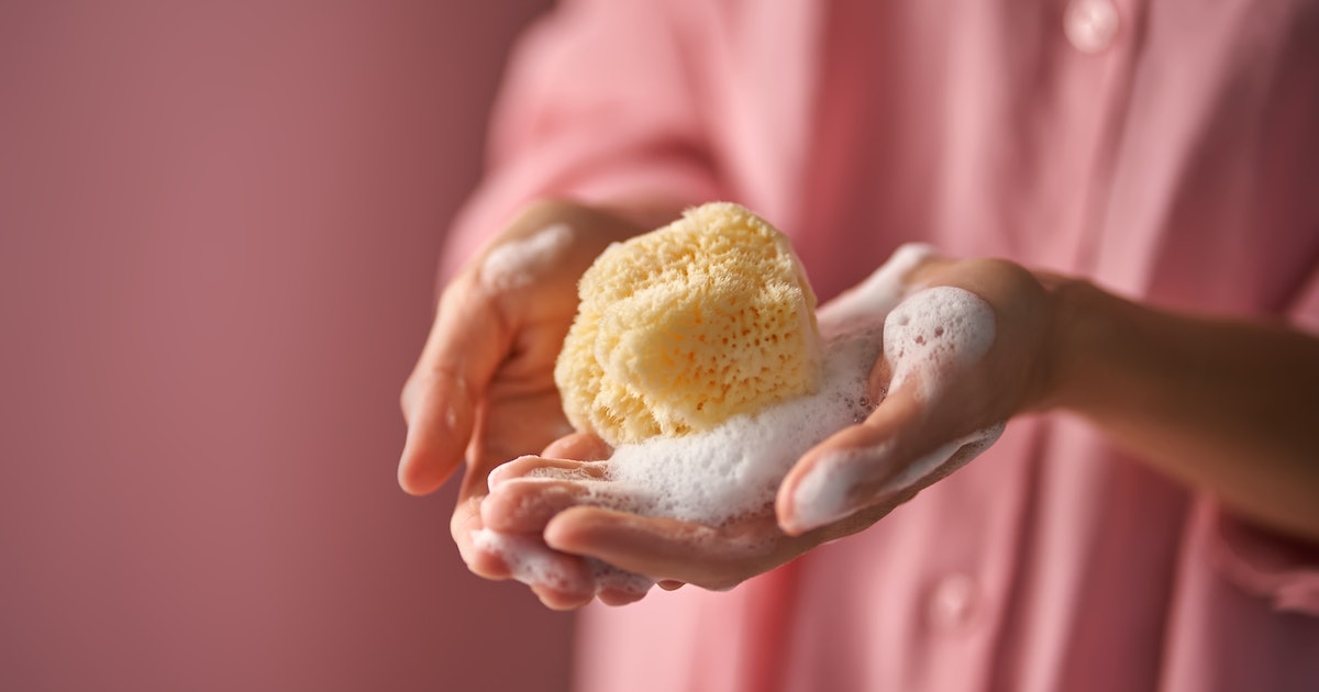 A New Loofah-inspired Device Purifies Water Using the Power of the Sun