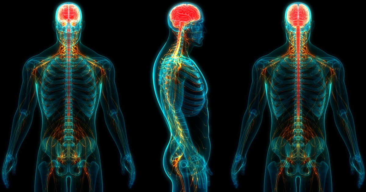Can We Rebuild the Spinal Cord? These Scientists Are Redefining What’s Possible