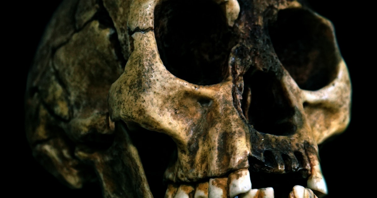Scientists Are Fighting To Save Ancient Human History From a Rising Threat