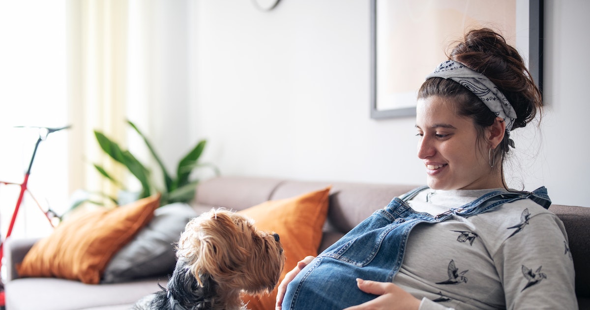 Pregnant Dogs and Women Have One Surprising Thing in Common