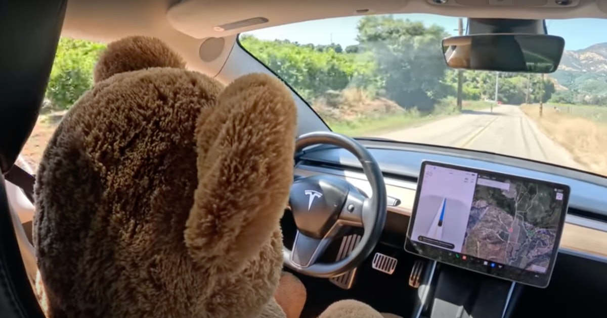 Tesla’s Safety Software Allegedly Lets Stuffed Animals Use Full Self-Driving Beta