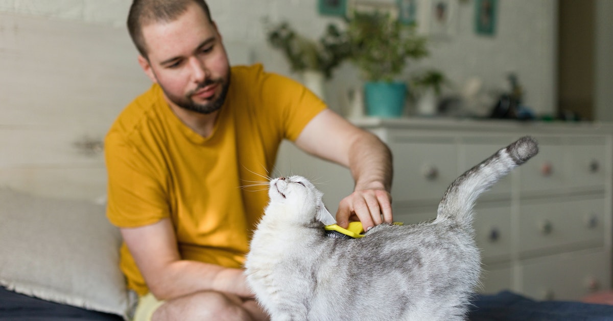 The Surprising Health Benefits of Massage for Your Pet, According to ...