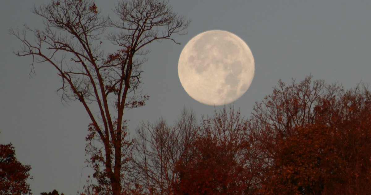 You Cannot Miss Tonight’s Spectacular Beaver Moon — Here’s the Best Way To View It