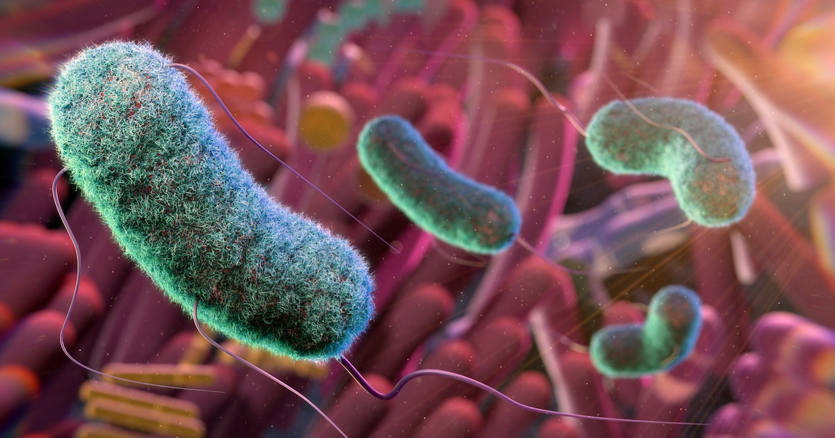Growing Evidence Suggests a Trigger For Parkinson’s Disease Could Be A Common Gut Bug