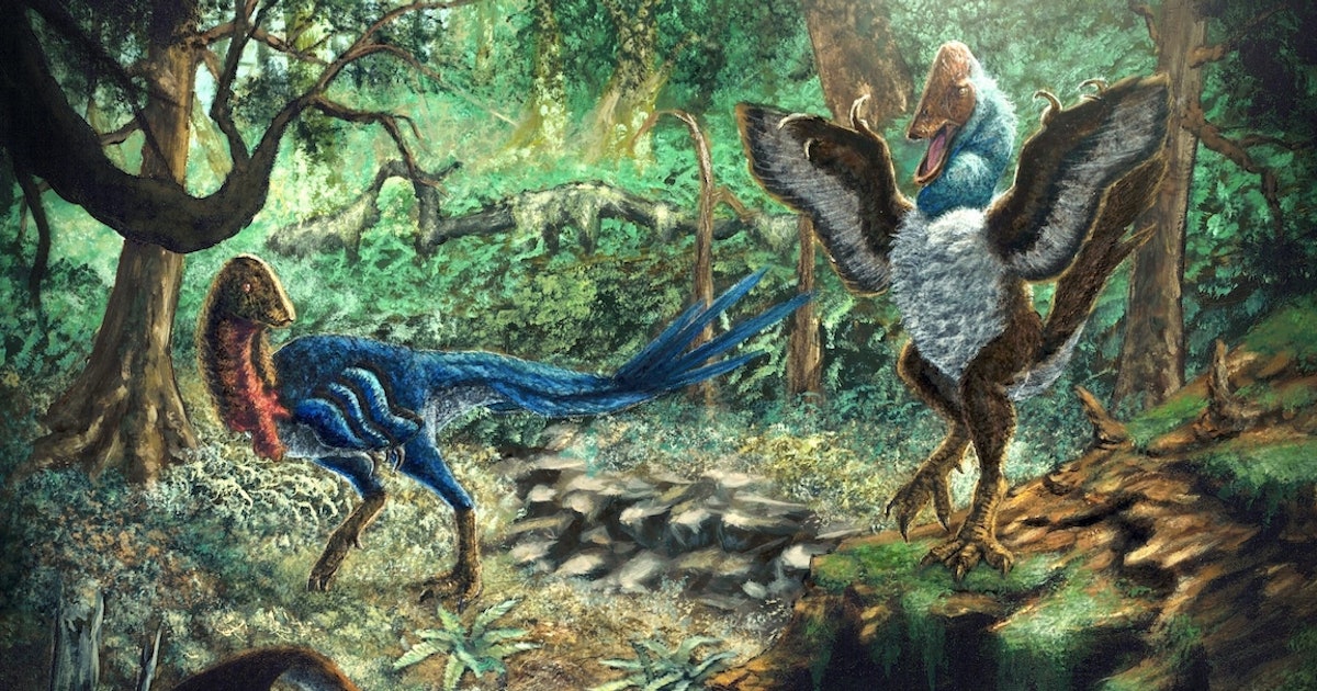 Scientists Just Discovered a Second “Chicken from Hell” Dinosaur — And Reopened a Major Debate
