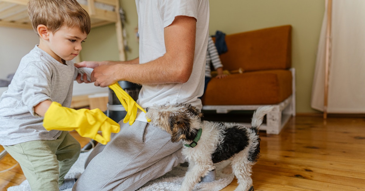 This Common Household Cleaner Puts Puppies at Risk, Veterinary Toxicologist Says