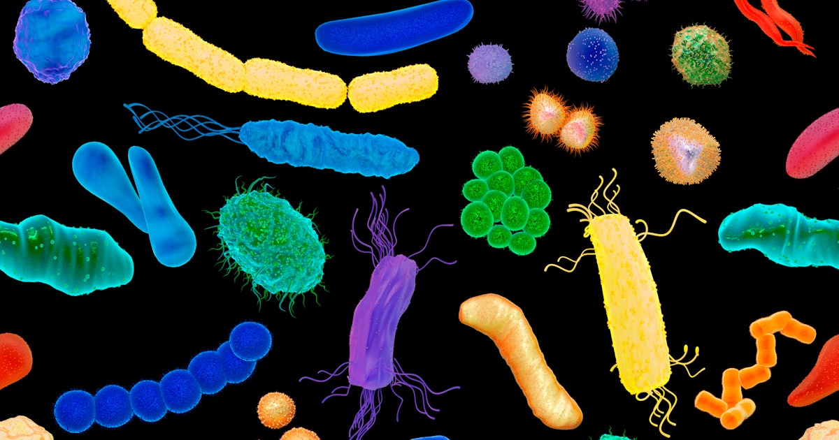 Scientists Are Tantalizingly Close To Identifying The Gut Bacteria Linked To Stress
